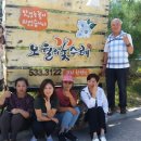 오월의꽃수레 이미지