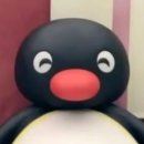 예대음악학원 이미지