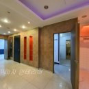 더 펫 애견샾 이미지