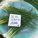 진희상회