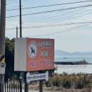 소라면 가사리 | 여수 애견동반여행 코스 추천 🐶 캐나다멍빌리지에서 강아지랑 행복한 시간