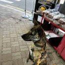 엘노래연습장 이미지