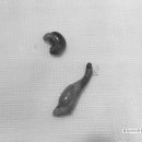 분당 아마존 동물병원 이미지