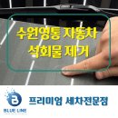 도운건축사사무소 | 수원영통 자동차 석회물제거 지하주차장 피해 보험해결 – 블루라인 디테일링 작업 후기