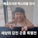 배곧너나들이작은도서관 | 배곧도서관 세상의 값진 곤충 특별전 벅스리움 전시회 8/15-18