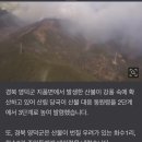 경북 영덕 ‘산불 대응 3단계’…영덕군 주민대피령 이미지