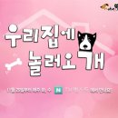 놀러오개 이미지