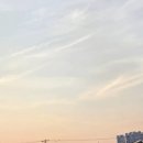커피.윤스