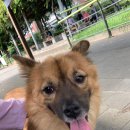 메이의산책 이미지