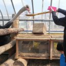 소우농장 이미지