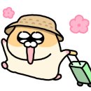 해피보틀영일대 이미지
