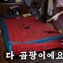 주인공