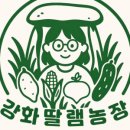 강화섬농장 이미지