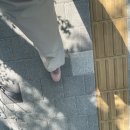 마장동작은도서관 | 새는 날아서 어디로 가게 될지 몰라도 나는 법을 배운다