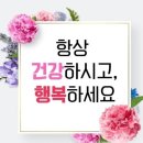 kbs 무엇이든 물어보세요 "혈당 스파이크" 정말 중요한 정보네요 이미지