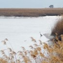 구로-구로-구로-2739 이미지