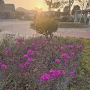 남파랑길 28일차(남해구간 37~38코스) 이미지