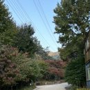 나만 알고 싶은 횡성자연휴양림캠핑장 이용 후기 / 시설 정보