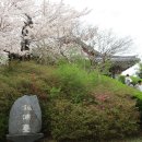 경포호수 1 이미지