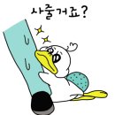 송탄여객 이미지