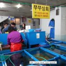쭈쭈상회 네이버블로그