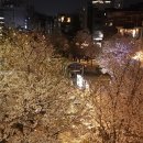 스타식스정동1관 | 뮤지컬 그리고 연극, 100개 관람 후기