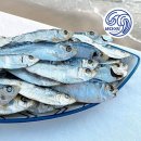 주식회사바다 이미지