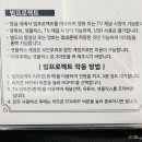 더강문풀빌라 이미지