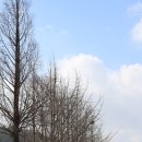 군산시옥산보건지소 | 군산 가볼만한곳, 군산호수(옥산저수지) 구불길