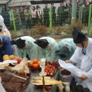 동제의원 이미지