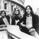 숲 in the grove 이미지