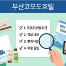 하이런당구 | LPBA 돌풍의 주역 장가연의 하이원 챔피언십 8강 진출
