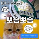 장화신은 고양이 & 강아지 미용 | [대구 유천동] 🐱 달서구 뽀솜뽀솜, 고양이 무마취 미용! 까칠한 우리 주인님도 참을만했대요! /달서구...