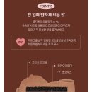 기념일케이크추천 카카오톡선물하기 노티드 다크초콜릿 브라운베어케이크 배송후기
