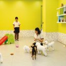 대우유치원 이미지