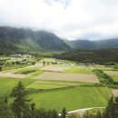 신비로-1 이미지