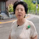 선우용여 카카오 검색결과
