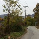 갈현3리 Daum카페