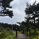 GS25거제오션자이점 이미지