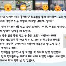 생각이 자라는 하브루타 이미지