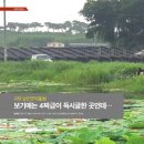 도서출판 연지야