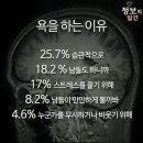 경희대안화태권도장 이미지