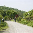 금촌 야생화,조각공원&파주 진동리 민통선&황포 돗대....^^* 이미지