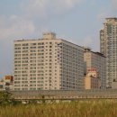 스타팰리스 이미지