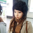 탱고헤어
