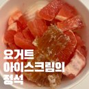 요아정효천점 | 요아정(요거트 아이스크림의 정석) 메뉴 꿀조합 광주 남구점 솔직 후기