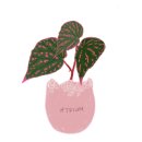 군산우미린공인중개사사무소 이미지