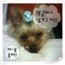 서진음악학원 | 2025.99999999 ...