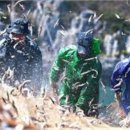 멸치후리는노래 이미지