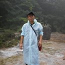 안동오리 이미지